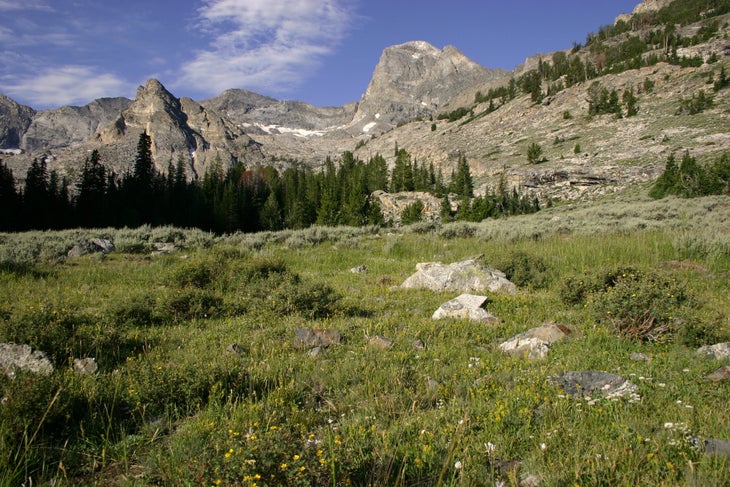 a narrow dirt trail passes through a grassy meadow with some scattered fir trees. In the distance is a large peak with sheer gray cliffs and some snowfields near the top.