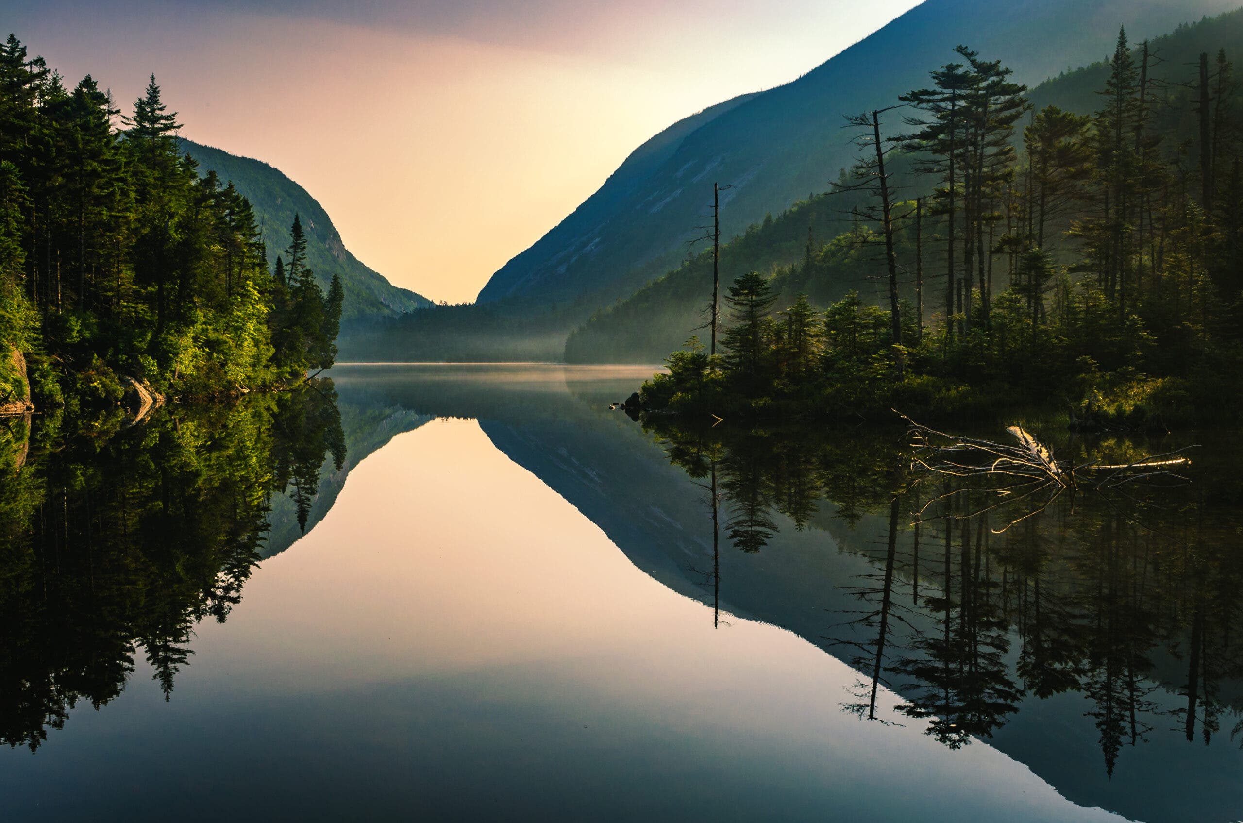 a lake surrounded by thickly forested hills reflects the treed shores and the dawn