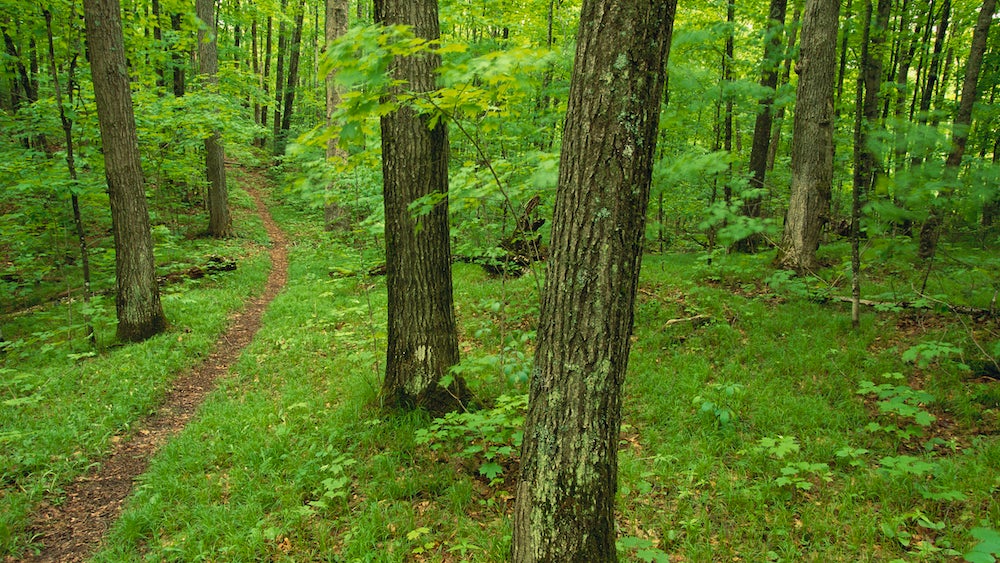 Wisconsin Mountains Get No Better Than The Penokees - Backpacker