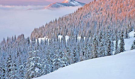 3winthuttreks Tahoma 0208.jpg 9961 Backpacker_Magazine_Mt_Tahoma_Trail,