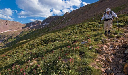 AdventureGuide PhotosSteveHowe445x260WeminucheWilderness Trimb 10069 Backpacker_Magazine_Trimble_Pass