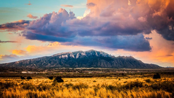 Sandia