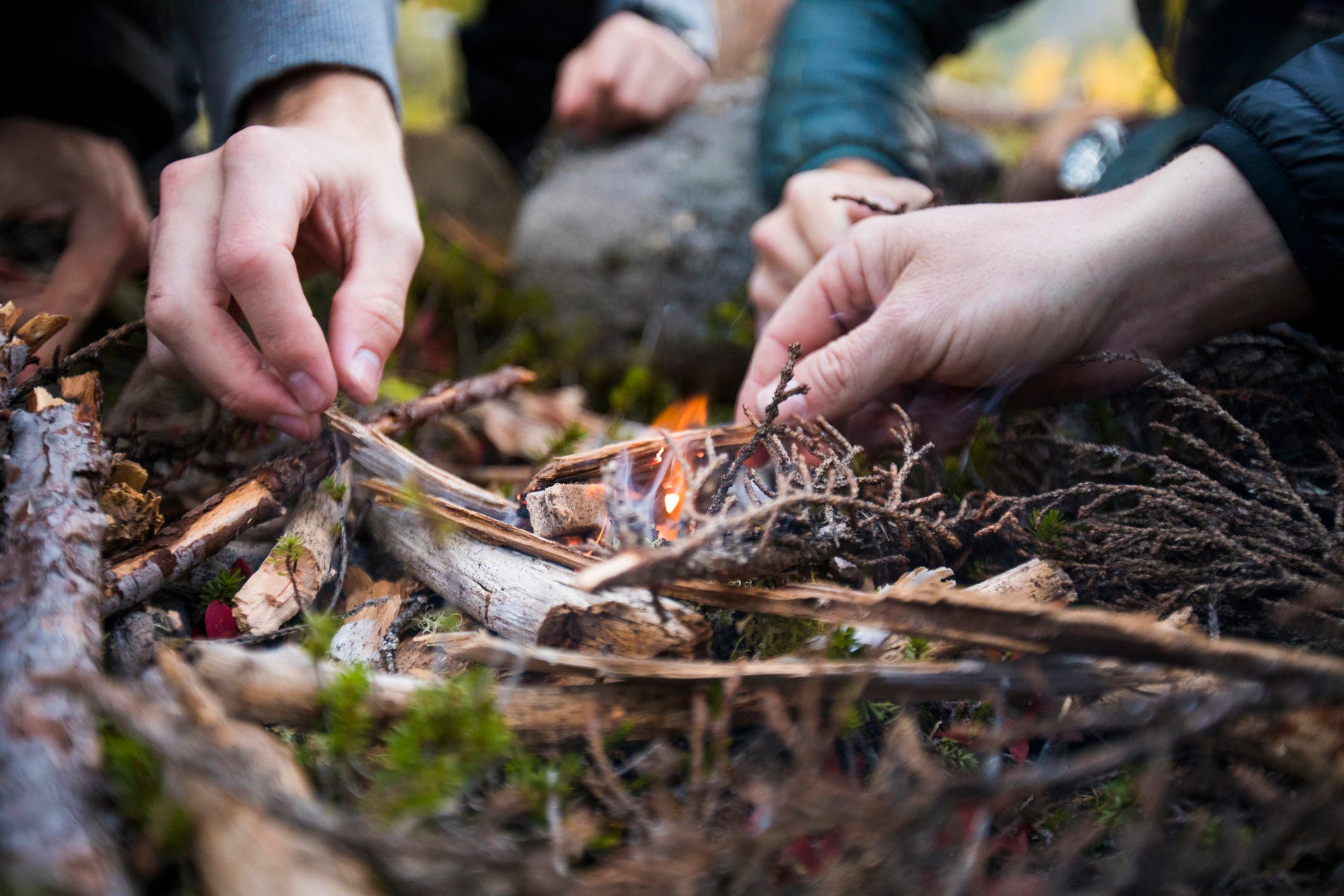 Close-up of hands adding twigs to a small flame. 