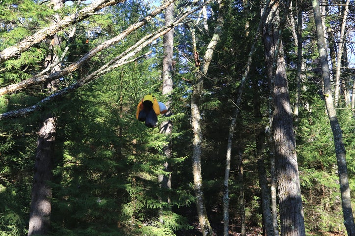 How to Hang a Bear Bag: The Right Way — Into the Backcountry