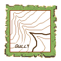 gully on a topo map