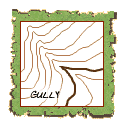 gully gully on a topo map