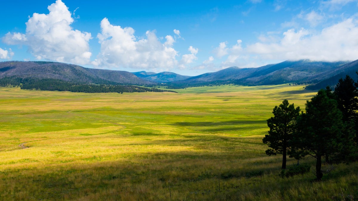 Phenomenon: Valles Caldera