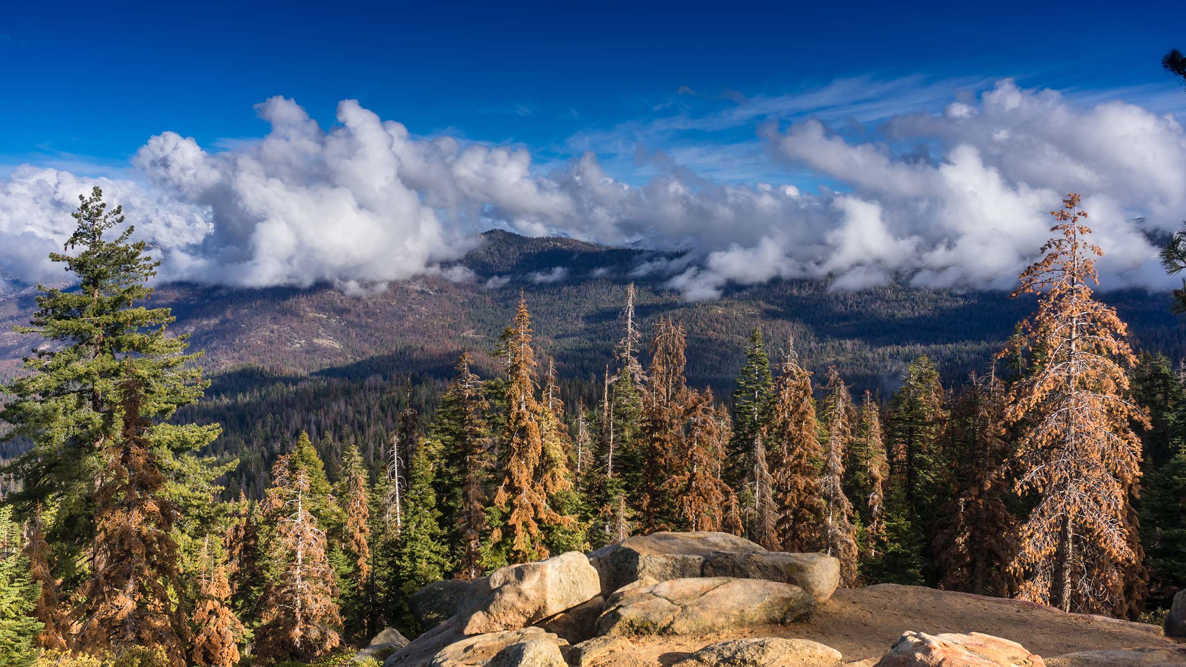 Sequoia and Kings Canyon