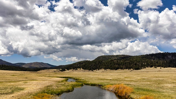 valles caldera