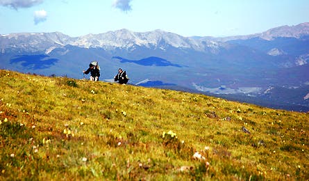 2007-08-08 59a 445x260.jpg 10560 None