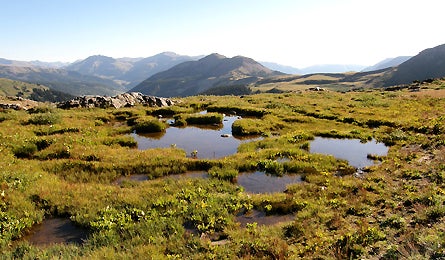 78---Ponds-just-below-Hunchback-Pass 445x260.jpg 10557 None