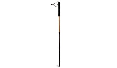 BP0308POLE REIbamboo Bjk.jpg 10500 Backpacker_Magazine_REI_Carbon_Bamboo_Staff