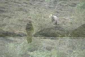 Preview: Alone Across Alaska