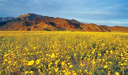 "Backpacker_Magazine_Death_Valley_National_Park"