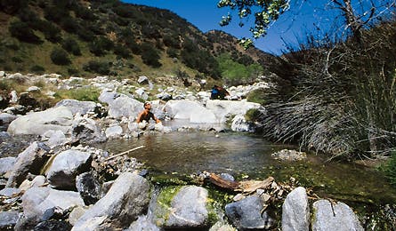 hssespe_445x260 None