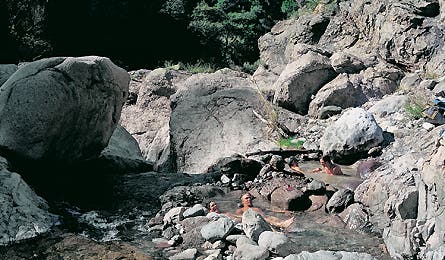 hsturkey_0408_445x260 None