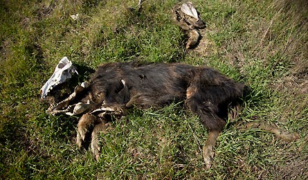 Image 14.jpg 10753 Backpacker_Magazine_Darter_Channel_Islands_14