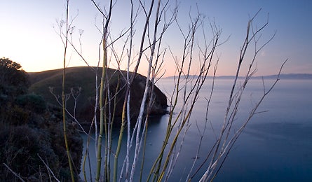 Image 9.jpg 10748 Backpacker_Magazine_Darter_Channel_Islands_9