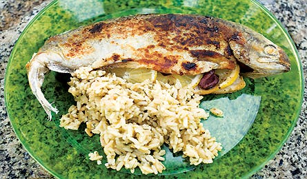 medstuffedtrout_0508_bailie_445x260 None