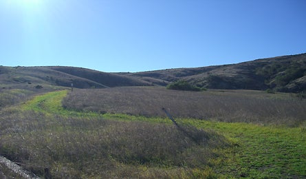Pic3 445x260.jpg 10733 Backpacker_Magazine_Davis _Channel_Islands_3