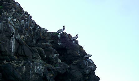 Backpacker_Magazine_Davis_Channel_Islands_4