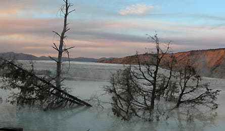 Readerphotoaug08 10 10828 readerphotoaug08_10