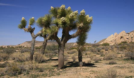 Readerphotoaug08 13 10831 readerphotoaug08_13