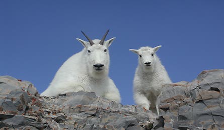 Readerphotoaug08 9 10827 readerphotoaug08_9