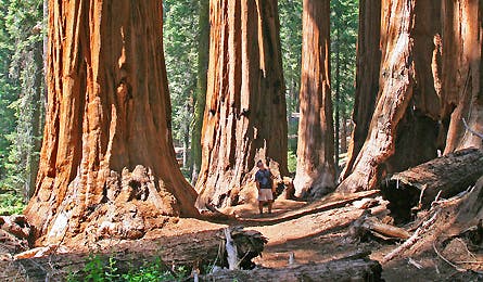 Readerphotojune08 1 10837 readerphotojune08_1