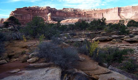 Readerphotojune08 4 10840 readerphotojune08_4