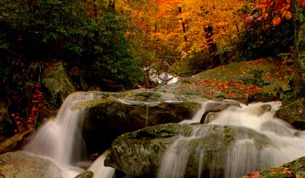 Readerphotomay 13 10809 readerphotomay_13