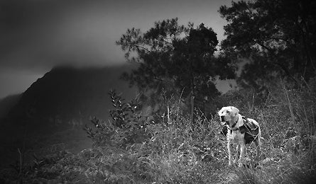 Readerphotomay 18 10814 readerphotomay_18