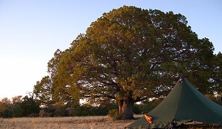 Readerphotomay 4 10800 readerphotomay_4