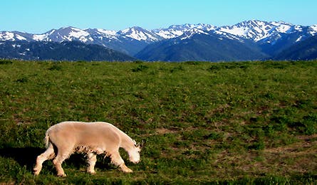 Readerphotomay 5 10801 readerphotomay_5