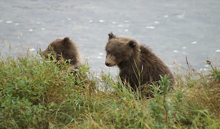 Readerphotomay 7 10803 readerphotomay_7