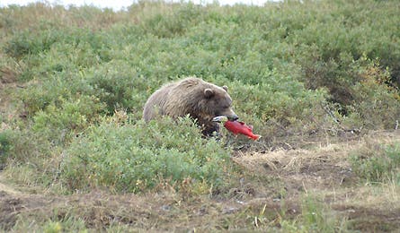 Readerphotomay 8 10804 readerphotomay_8