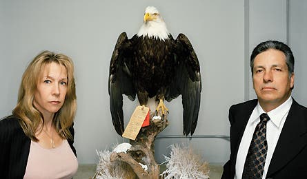 Secagentdblagents 0508 Winters 445x260.jpg 10935 Backpacker_Magazine_secret_agent_man