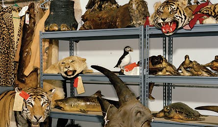 Backpacker_Magazine_secret_agent_man