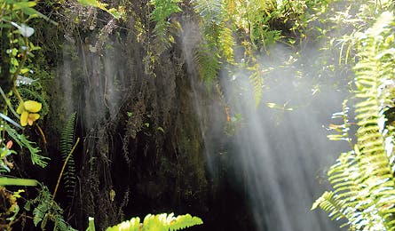 Soakhere Hssteam 0408 445x260.jpg 10730 Backpacker_Magazine_Pahoa_Steam_Caves