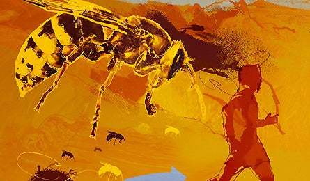 "Backpacker_Magazine_swarming_Wasps"