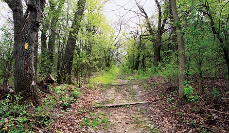 Trailbuild Iceage 0408 Drr 445x260.jpg 10647 Backpacker_Magazine_Ice_Age_Trail