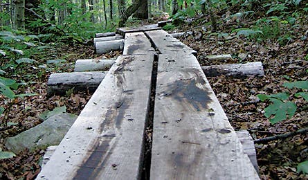 A wooden plank bridge acts as the trail through the Green Mountain National Forest on the Bourn Pond-Stratton Pond loop hike. 