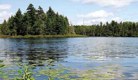 Bourn Pond-Stratton Loop 11115 vermont_bourn_pond_stratton_map