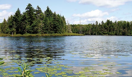 vermont_bourn_pond_stratton_map