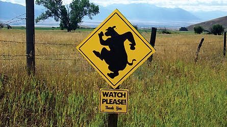 Onion Vs. Magoo 10 11143 onion_magoo