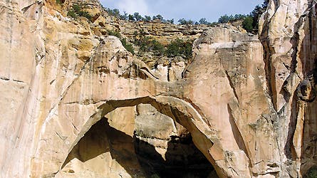 Onion Vs. Magoo 8 11141 onion_magoo