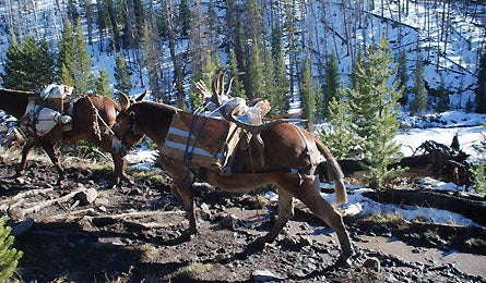 13-Most-Remote-.jpg 11341 most_remote_place_in_US_13