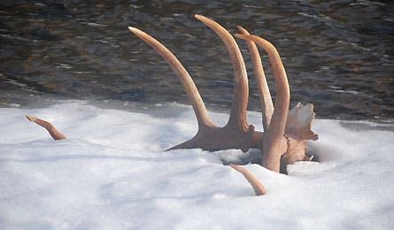 6-Most-Remote.jpg 11334 most_remote_place_in_US_6