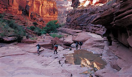 Grand Gulch 11616 grand_gulch