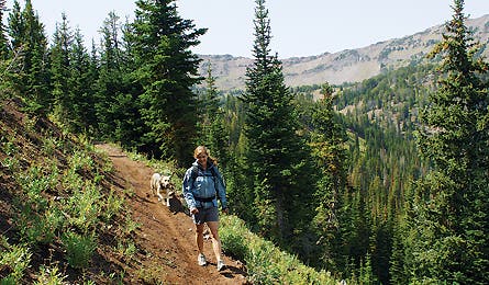 Yellowstone Waterfall 11602 hyalite_creek